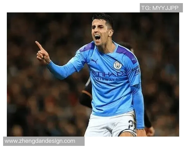 坎塞洛在赛场上的华丽转身与未来发展潜力分析